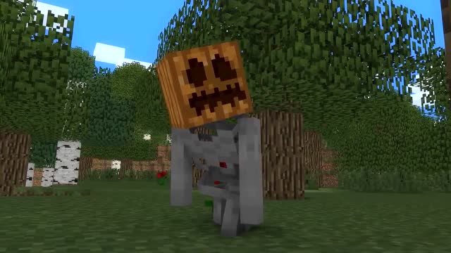 MC动画-流浪者的生活-01-colt python免费观看