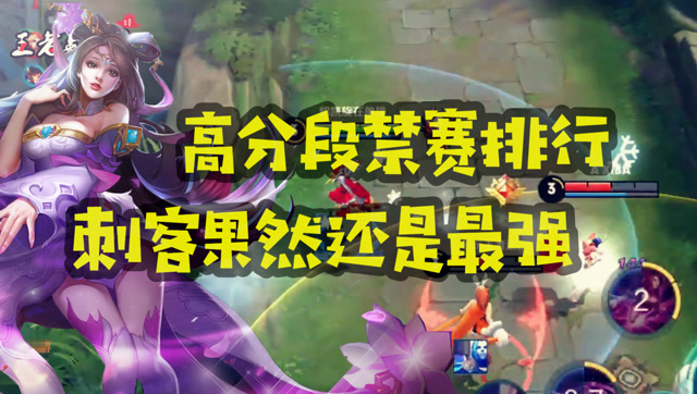 王者英雄传：高分段禁赛排行榜，刺客果然还是最强！免费观看