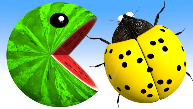 吃豆大作战：吃豆人VS七彩瓢虫 颜色学习 3D版免费观看