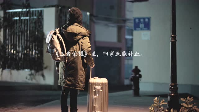 王者荣耀春节暖心公益片免费观看