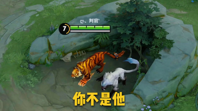 打个野狼好像做错了啥，赶紧溜了以后不打野了免费观看