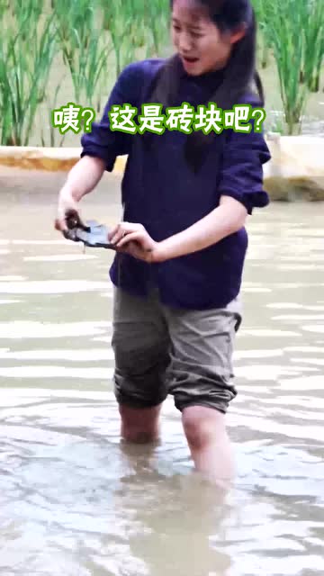 最野孩子團池塘摸魚