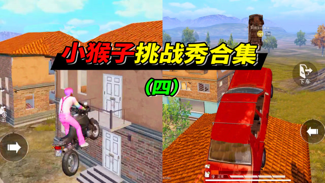 小猴子挑战合集4：胜者为王，倍数还原高难度动作！免费观看