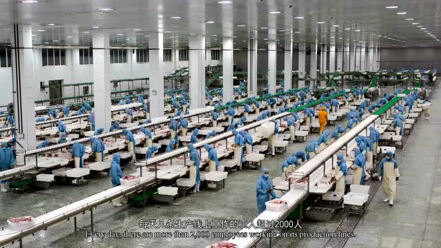 2019企業宣傳片
