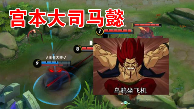 王者荣耀：司马懿开大招逃跑遇到宫本，这场面就像是乌鸦坐飞机免费观看