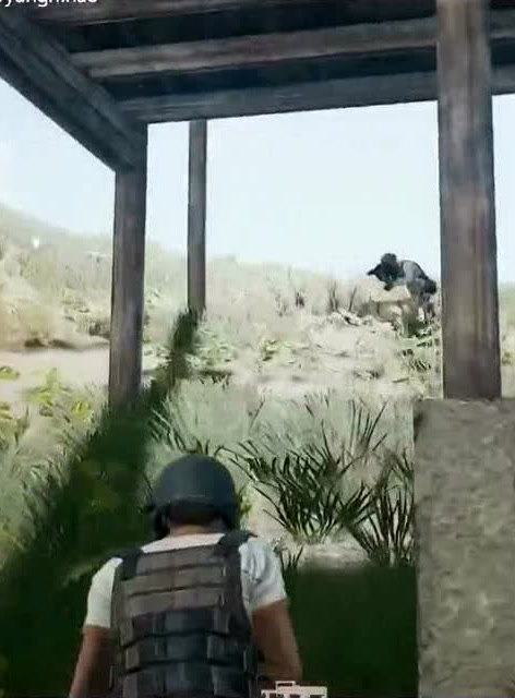 绝地求生：大菠萝百米开扫免费观看