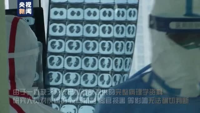 首例新冠肺炎屍檢報告發布:氣道大量黏稠分泌物 主要引起遠端肺泡損傷