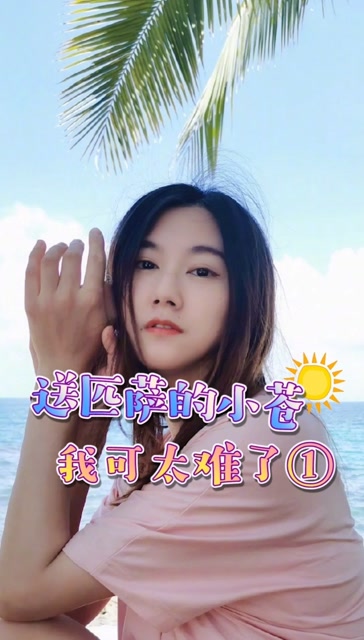送匹萨的小苍 我可太难了