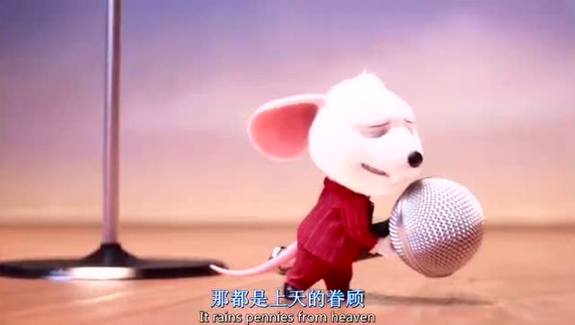 动物界好声音现场盲选