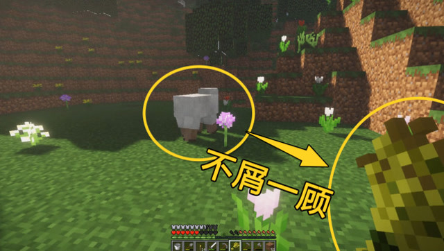 我的世界 这羊看到小麦直接回了头，难道羊还会挑食吗？免费观看