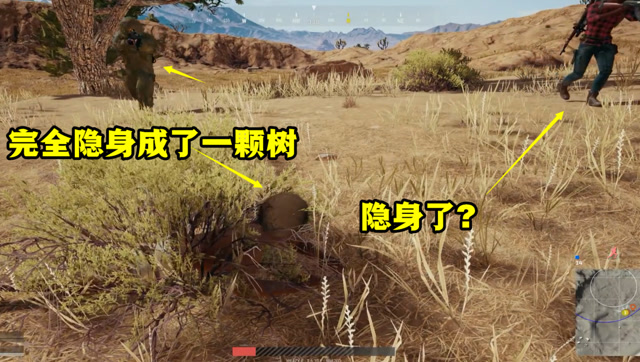 绝地求生：玩家脱掉衣服后，完全隐身成了一棵树，敌人根本发现不了免费观看