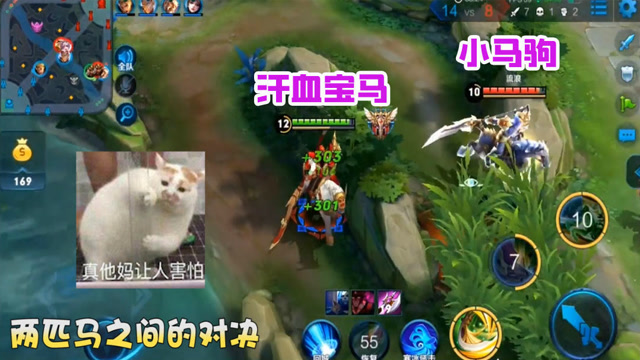 汗血宝马VS小马驹？两匹马之间的对决！免费观看