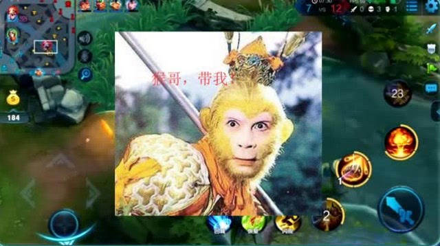 张大仙秀冷门英雄，几百场都遇不到一个，战绩感人，直言：我很烦！免费观看