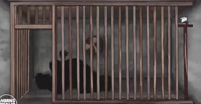 恐怖奶奶：恐怖奶奶和恐怖爷爷免费观看