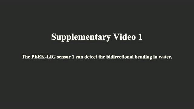 PEEK-LIG在水中工作狀態的視頻