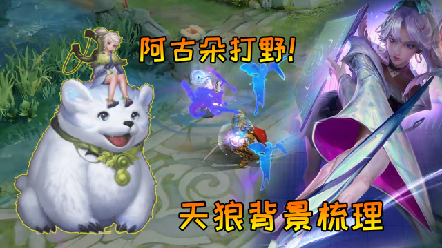 修鸽儿：超可爱新英雄阿古朵竟是打野坦克，四款天狼皮肤背景梳理免费观看
