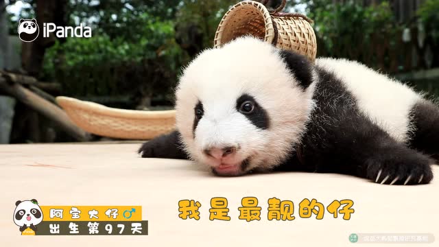 背小揹簍的小可愛