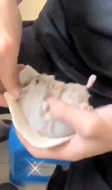 給你做個肉包子,吃嗎