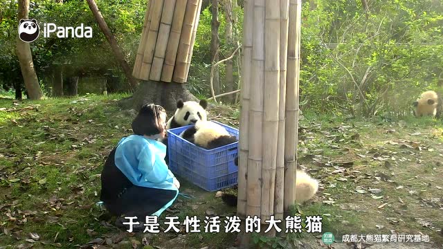 幸福美滿過新春
