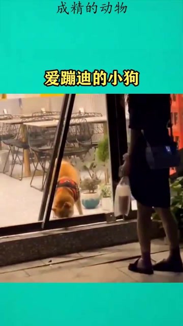 爱蹦迪的小狗关注8天前
