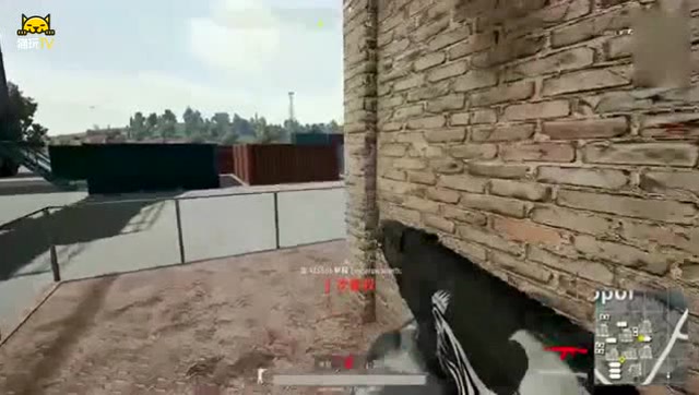 绝地求生：韦神日常调戏路人，韦酱：兄弟等等，你子弹都还没捡免费观看