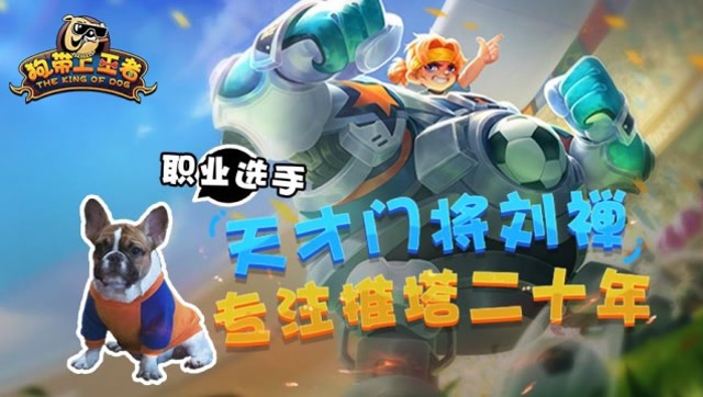 狗带上王者：世界杯天才门将刘禅 专注推塔二十年！免费观看