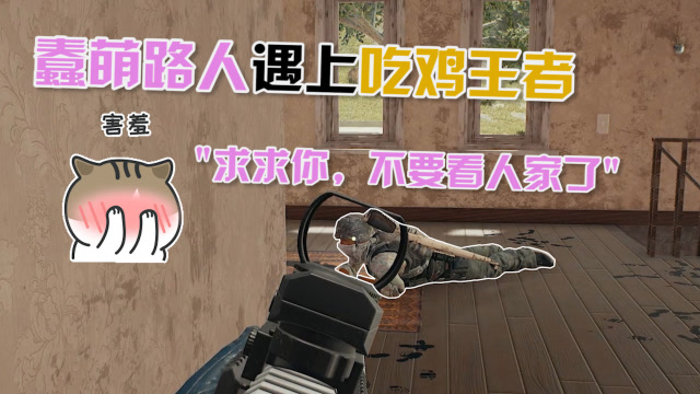 绝地求生：蠢萌敌人傻到主播不忍开枪！妹子都急了：快打他啊！免费观看