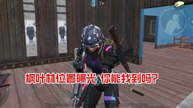 我的憨队友：枫叶林位置曝光，你能找到吗？免费观看