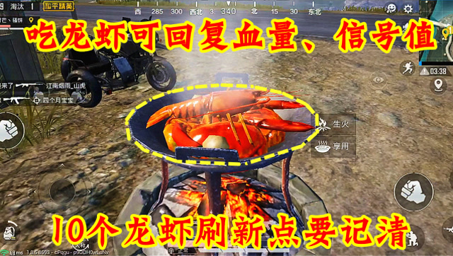 和平精英：海岛新增10个“龙虾”刷新点，食用后可恢复血量信号值免费观看