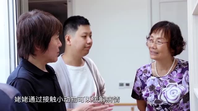 擼貓緩解阿爾茨海默症:寵物療法有科學依據 目前