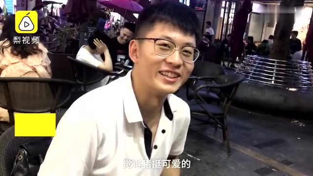 奶茶店飼養寵物豬 體重已超100斤 via一手video