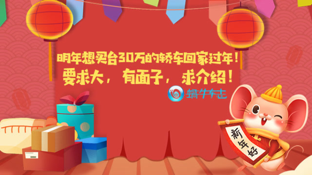 明年想買臺30萬的轎車回家過年!要求大,有面子,求介紹!