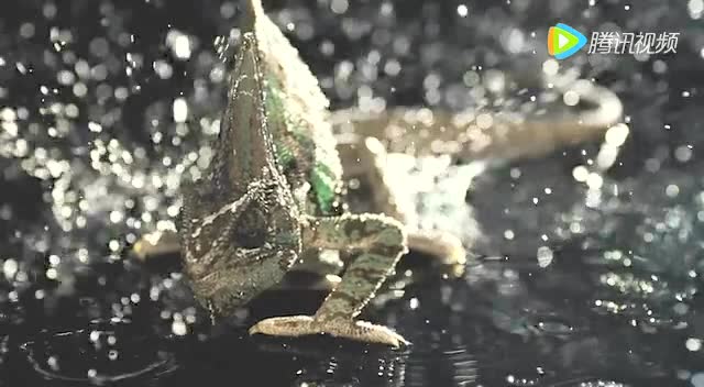 [全职高手]《荣耀归来》叶修电子竞技宣传片[角色扮演]免费观看