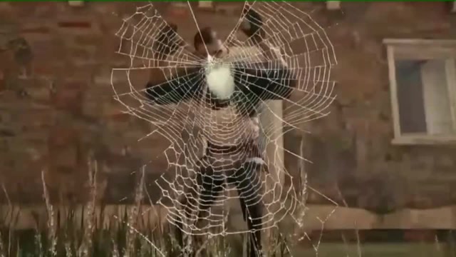 绝地求生:回忆杀来一波，不屈服于命运，我就不信努力会白费！免费观看