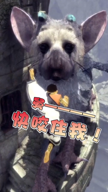 小男孩养了一条巨型狗狗，掉下悬崖前向狗狗求助！狗狗能否意会？免费观看