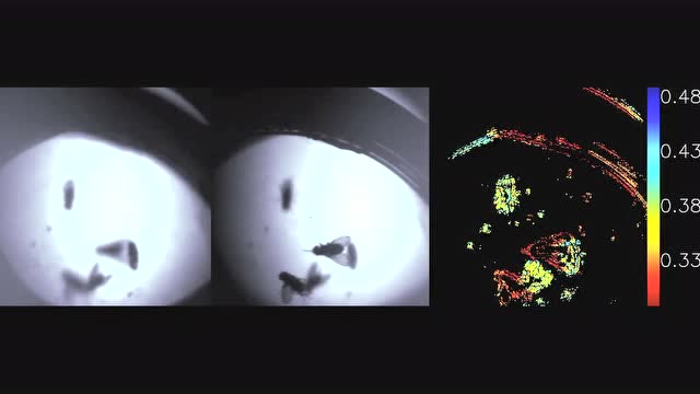 【青亭網】哈佛大學研發超透鏡3D傳感器