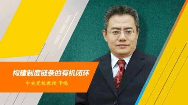專訪丨中央黨校教授辛鳴:構建制度鏈條的有機閉環