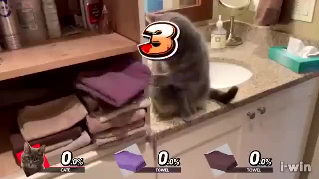 貓咪毛毯大亂鬥