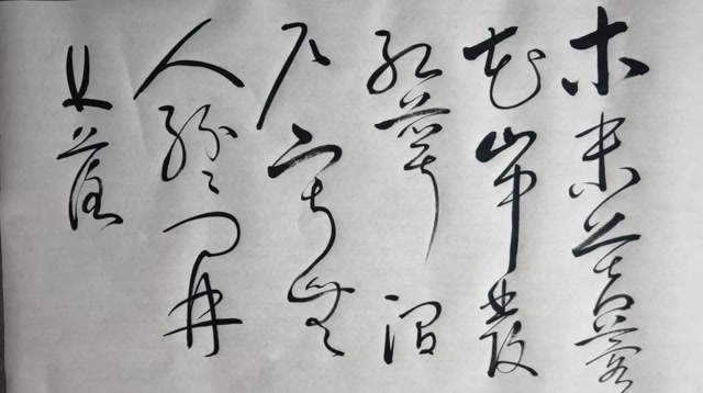 草书.王维(辛夷坞)