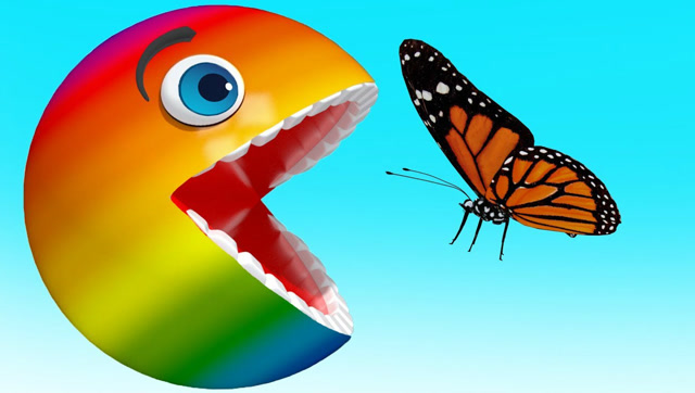 吃豆大作战：彩虹吃豆人遇上了蝴蝶 学习颜色篇免费观看