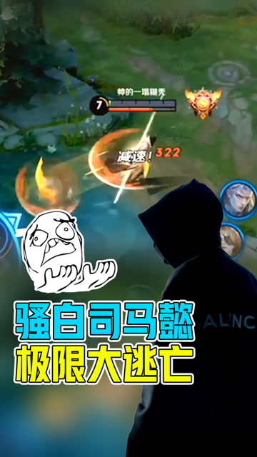 王者荣耀骚白——司马懿极限大逃亡，等一个大招……免费观看