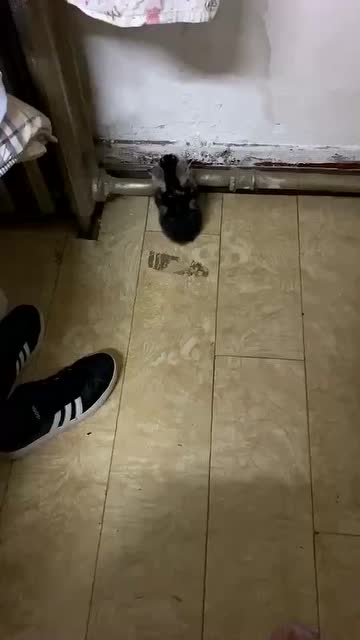 看把孩子冷的