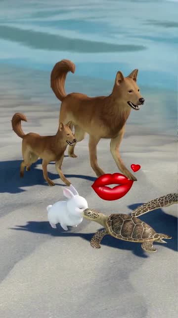 这兔子一看就不是个好人，居然亲我闺女！免费观看