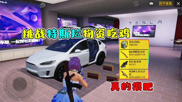 和平精英：挑战“特斯拉”物资吃鸡！98K+八倍镜，真的很肥！免费观看
