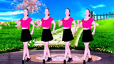 广场舞《我到底错哪里》现代舞歌美舞美