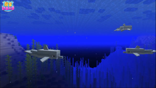 我的世界1.13可爱小海豚的生活纪录片免费观看