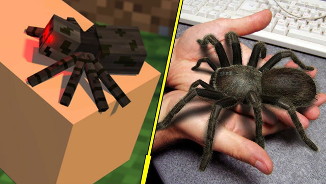 我的世界：真人版 VS 游戏世界，高空跳跃篇免费观看