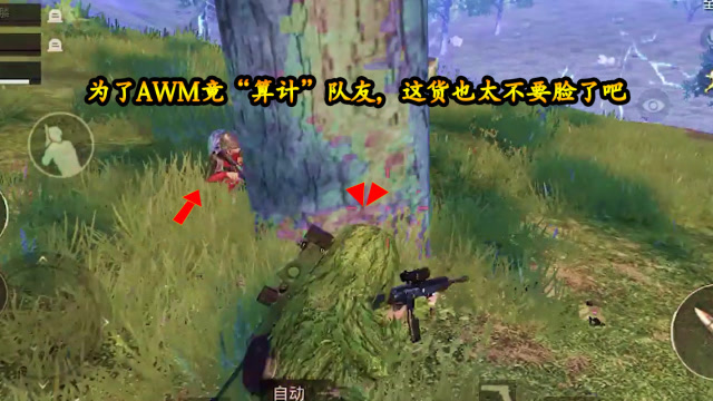 刺激战场小梦：为了一把AWM“算计”队友，这货也太不要脸了吧免费观看