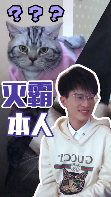 打个响指喵言找不着了怎么办？免费观看