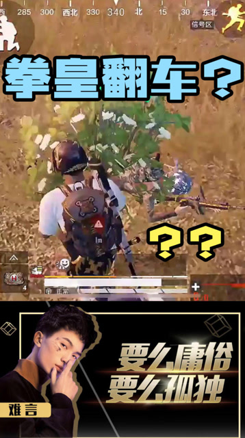 太惊险了！还好我出拳快！免费观看